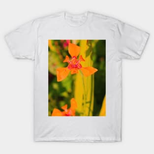 Orange lily blossom on yellow background T-Shirt